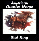 American Quarter Horse Web Ring